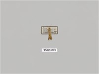 藏品(尺蠖蛾科)的圖片